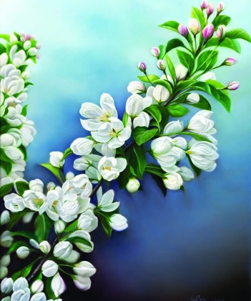 Blossoms Beneath the Blue final website