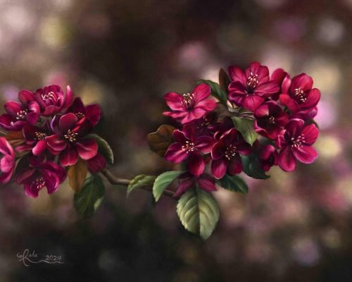 Crimson Symphony Final website